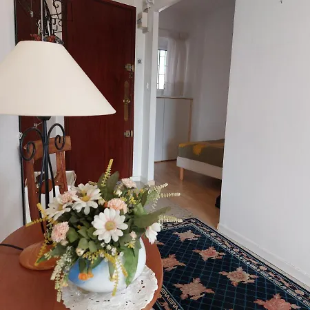 Apartment Iris - Lumineux Avec Terrasse Et Vue Mer - Axelle Loc'appart Cannes